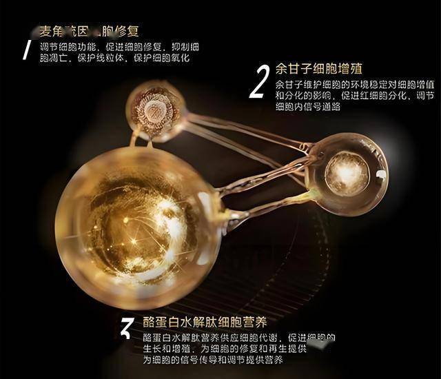 金壮龙
：充分运用新一代数据技术手段 设立中小公司服务大数据库